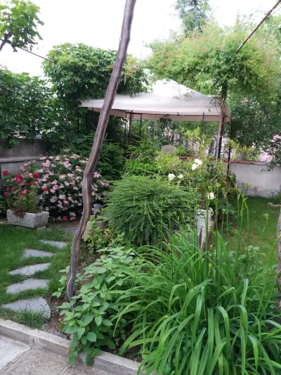 Stai Za Gosti Venera