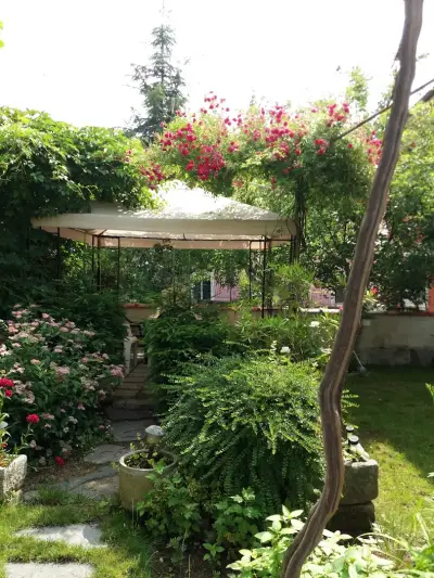 Stai Za Gosti Venera