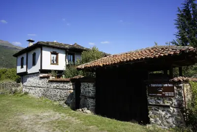 Старата къща / село Тъжа