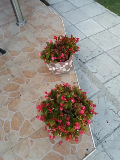 Къща за гости СИМОНА