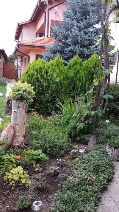 Къща за гости СИМОНА