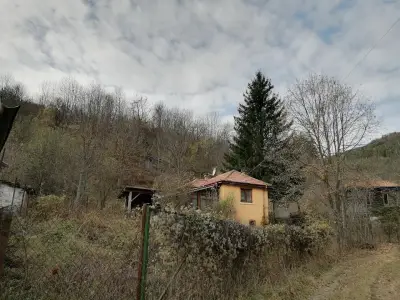 Къща за гости Борущица