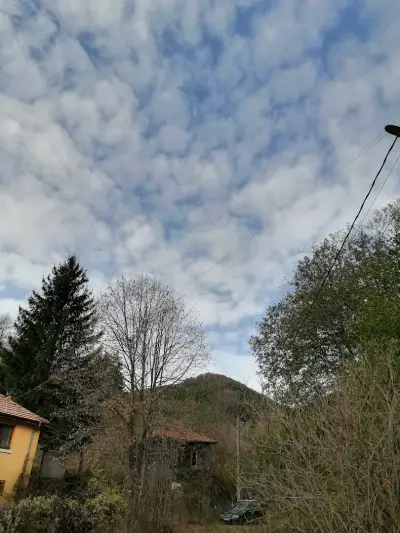 Къща за гости Борущица