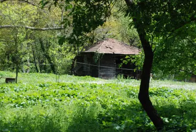 Къща за гости Борущица