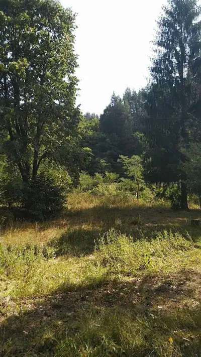 Къща за гости Борущица