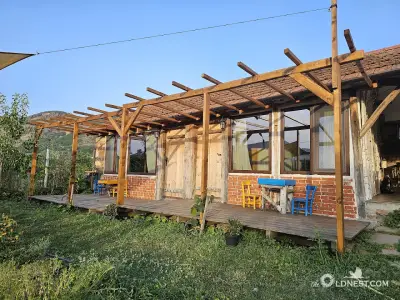 Старото гнездо