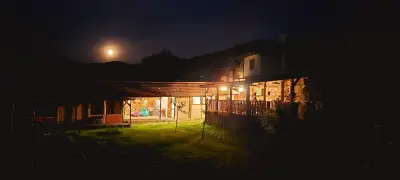 Старото гнездо