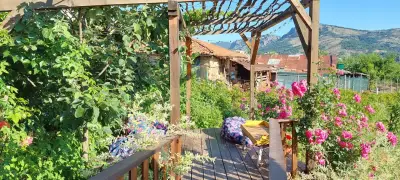 Старото гнездо