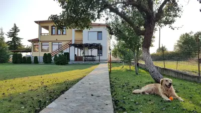 Вилен Комплекс Никодиа