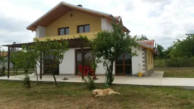 Вилен Комплекс Никодиа