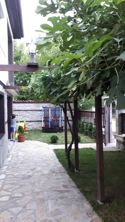 Guesthouse Orlovo