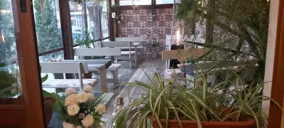 Пицария Вивере