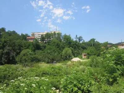КЪЩА ДЕЛИЙСКИ