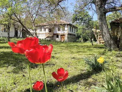 Куманска Среща
