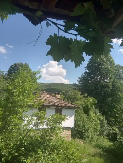ВИЧЕВАТА КЪЩА