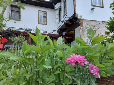 Guest House Stone Paths