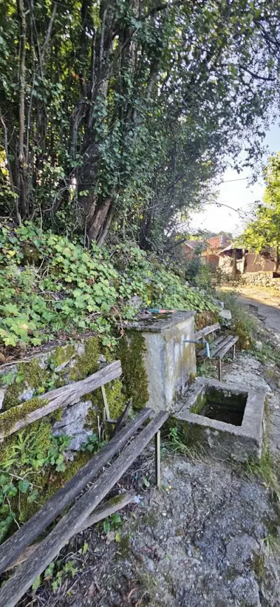 Къща за гости Дария - с.Мечковица