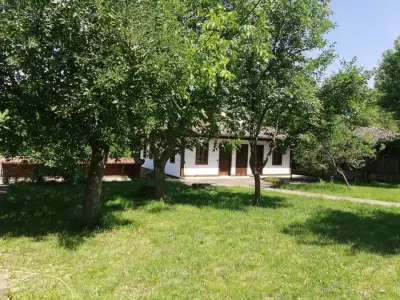 Terra House
