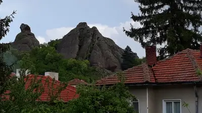 Guest House Zora