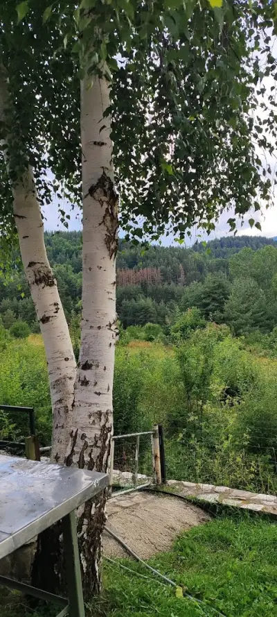 Къщи за гости Краси