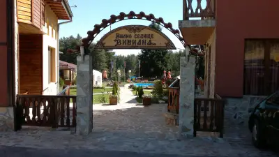 КОМПЛЕКС ВИВИАНА