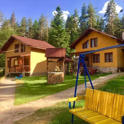 ВИЛИ УЮТ Цигов Чарк