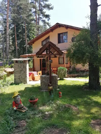 ВИЛИ УЮТ Цигов Чарк