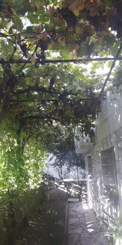 Стаи за гости Върбани