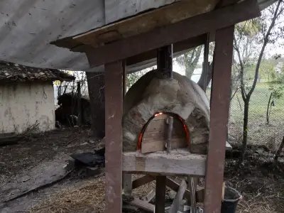 Ботаника Лайф