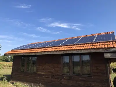 Ботаника Лайф