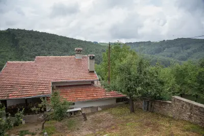 Къщата с лозата
