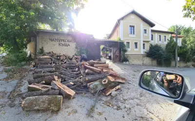 Chamurkov Guest House