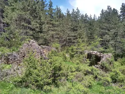Павелско Зареница 18