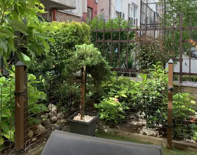 City Garden Studio