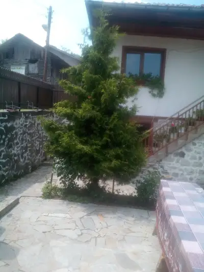 Бялата Къща