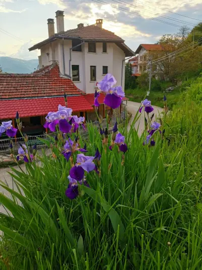 Къща за гости Панорама