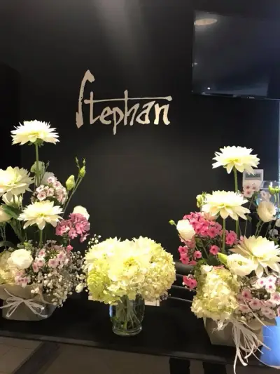Salon Stephan Iztok