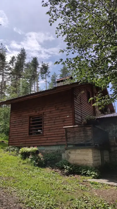 Вила „Рони“, Здравец