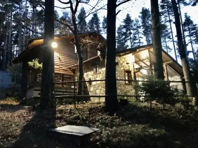 Вила „Рони“, Здравец