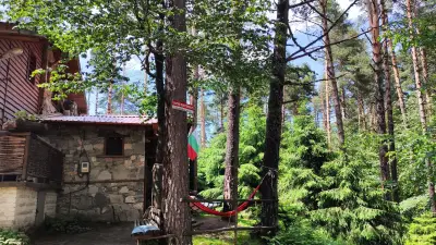 Вила „Рони“, Здравец
