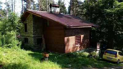 Вила „Рони“, Здравец