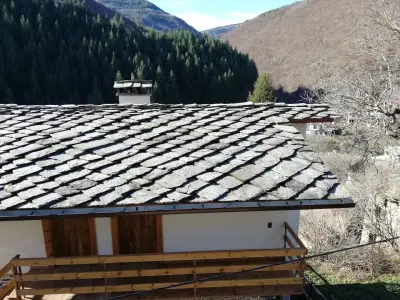 GUEST HOUSE ELENA