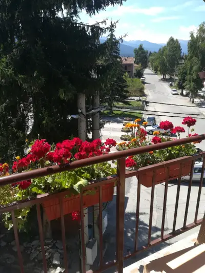 Guest House Edelweiss