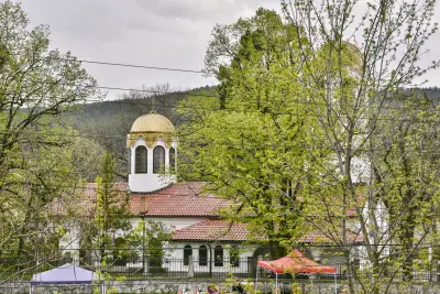Villa "Forest way"
