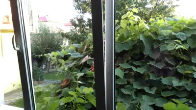 Къща за гости Tiffani
