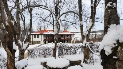 Небесните Пасбища