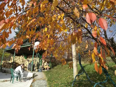 Vacation Home Selo Boykovets