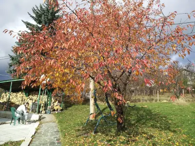 Vacation Home Selo Boykovets