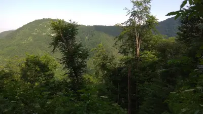Къща за гости "Вила Маджарови"