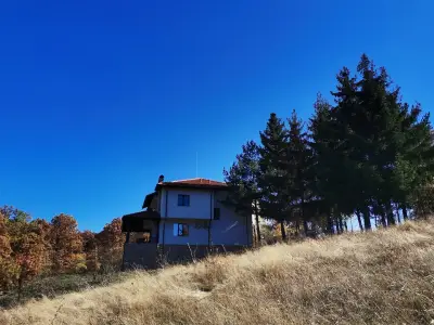 При Дядо Митко
